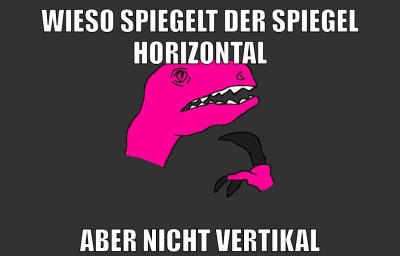 wieso spiegelt der spiegel horizontal aber nicht vertikal