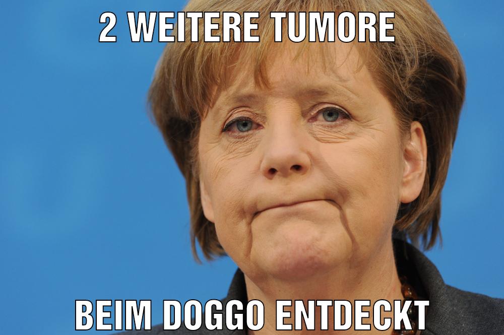 2 weitere tumore Beim doggo entdeckt