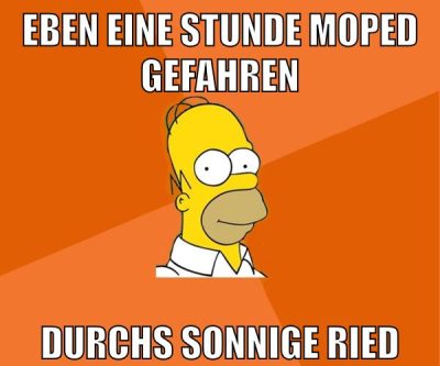 eben eine stunde moped gefahren durchs sonnige ried