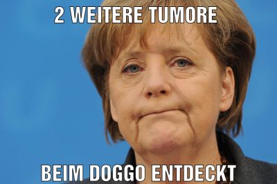 2 weitere tumore Beim doggo entdeckt