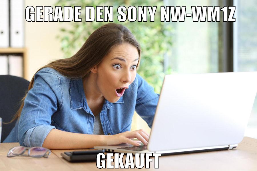 gerade den SONY NW-WM1Z gekauft
