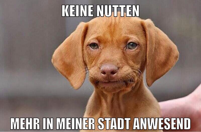 Keine Nutten mehr in meiner Stadt anwesend