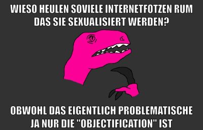 wieso heulen soviele internetfotzen rum das sie sexualisiert werden? obwohl das eigentlich problematische ja nur die "objectification" ist