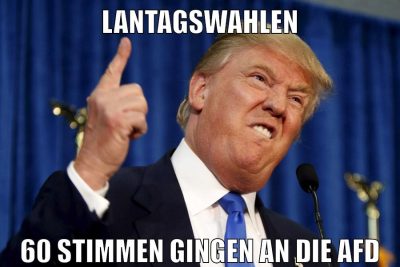Lantagswahlen 60 Stimmen gingen an die AFD
