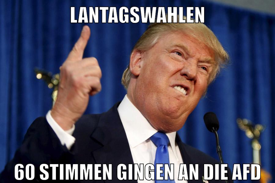 Lantagswahlen 60 Stimmen gingen an die AFD