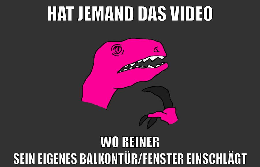 hat jemand das video wo reiner sein eigenes balkontür/fenster einschlägt