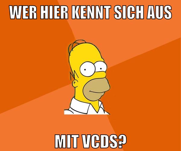 wer hier kennt sich aus mit vcds?