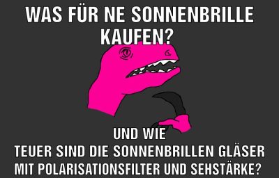 Was für ne Sonnenbrille kaufen? Und wie teuer sind die Sonnenbrillen Gläser mit polarisationsfilter und sehStärke?
