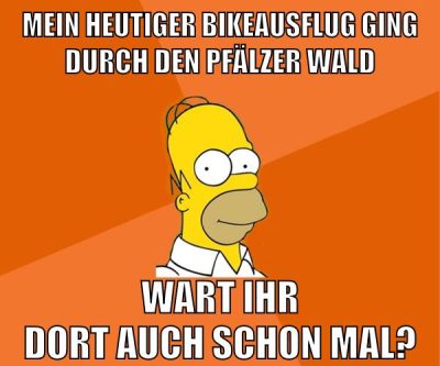 mein heutiger bikeausflug ging durch den pfälzer wald wart ihr dort auch schon mal?