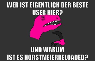 wer ist eigentlich der beste user hier? und warum ist es horstmeierreloaded?