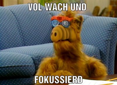 Vol wach und fokussierd
