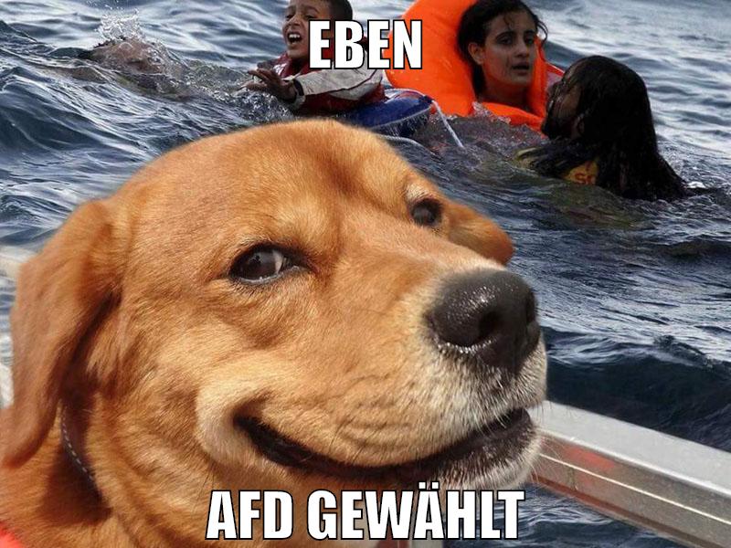eben afd gewählt