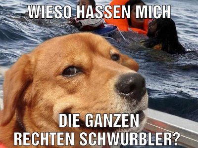 Wieso hassen mich Die ganzen rechten schwurbler?